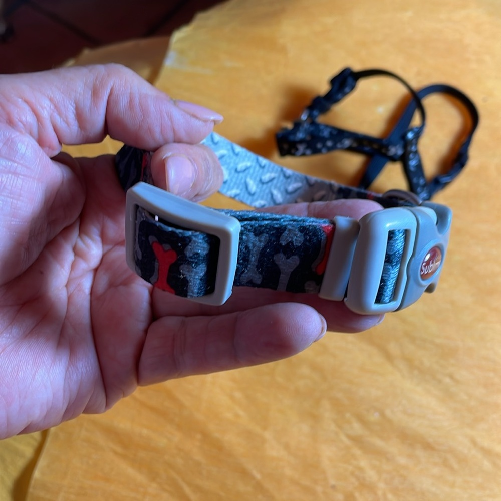 Dog Collars - Picture 2 of 3